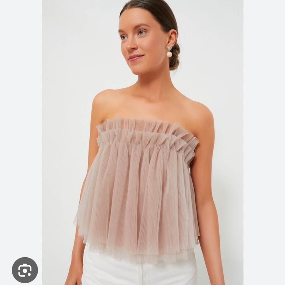 Blush Tulle Willa Strapless Top NWT